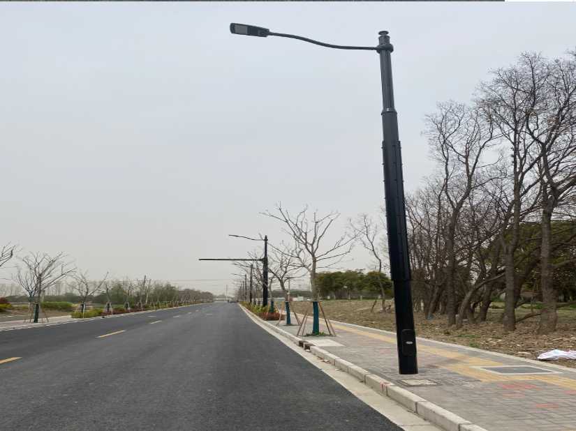 萨嘎县上海综合杆 太阳能路灯工程